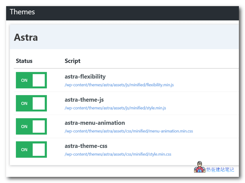 Perfmatters脚本管理