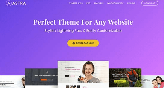 Astra主题