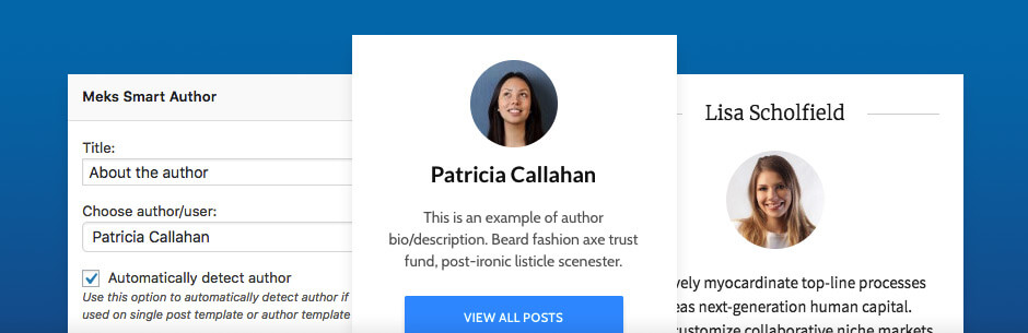 Meks Smart Author Widget关于作者小工具