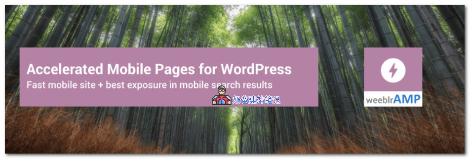 AMP on WordPress – weeblrAMP CE