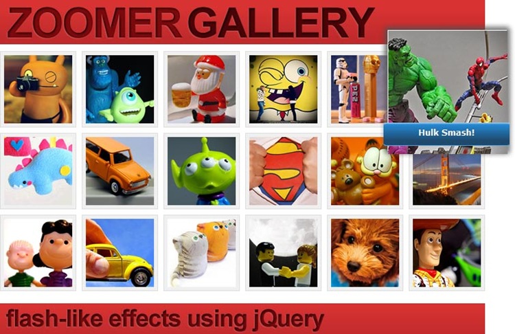 zoomerGallery zoomerGallery