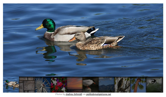 slider_ducks