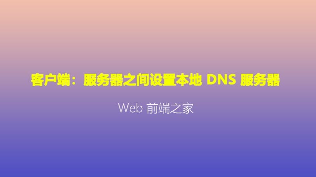 客户端：服务器之间设置本地 DNS 服务器